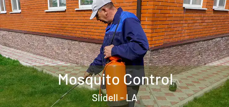 Mosquito Control Slidell - LA
