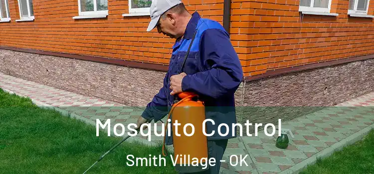 Mosquito Control Smith Village - OK