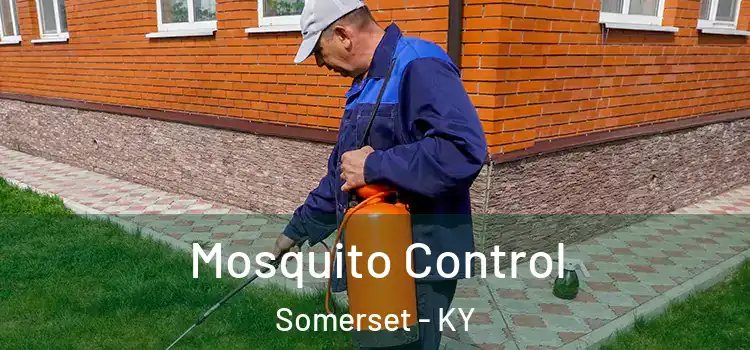  Mosquito Control Somerset - KY