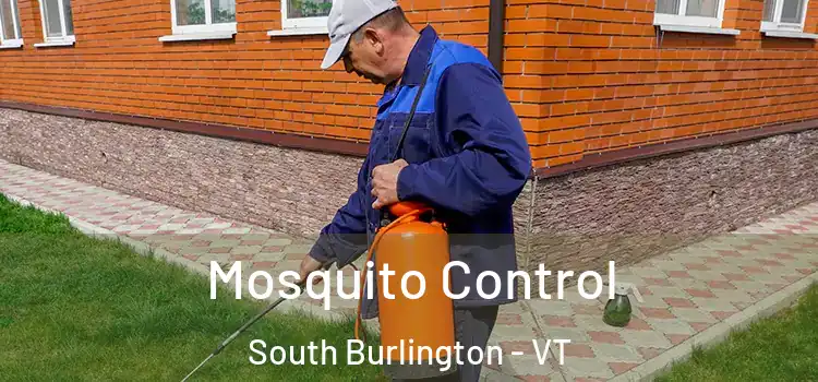  Mosquito Control South Burlington - VT