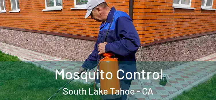  Mosquito Control South Lake Tahoe - CA