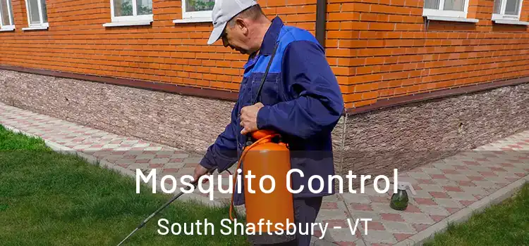  Mosquito Control South Shaftsbury - VT