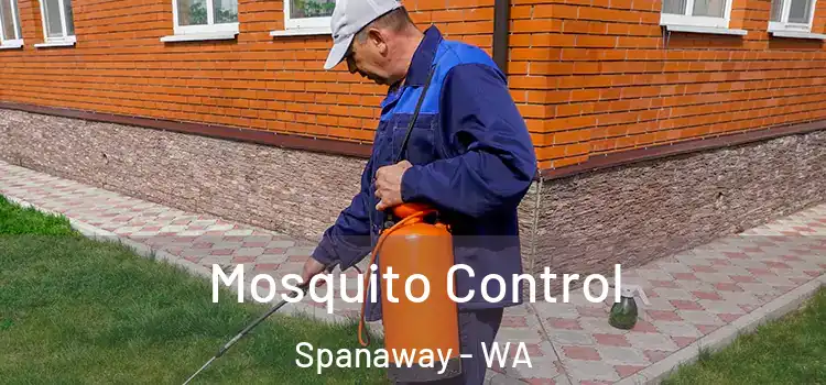  Mosquito Control Spanaway - WA