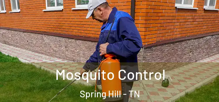  Mosquito Control Spring Hill - TN