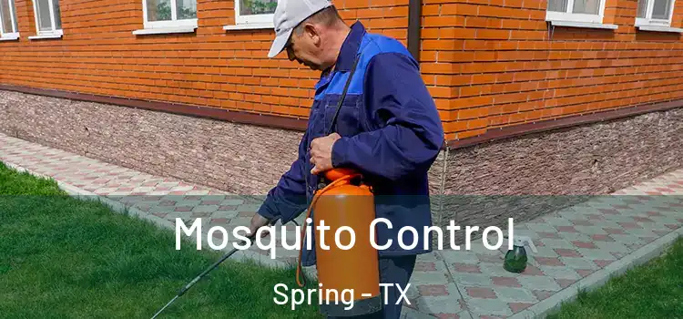  Mosquito Control Spring - TX