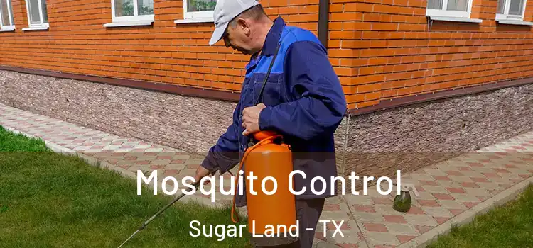 Mosquito Control Sugar Land - TX