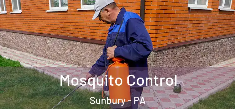  Mosquito Control Sunbury - PA