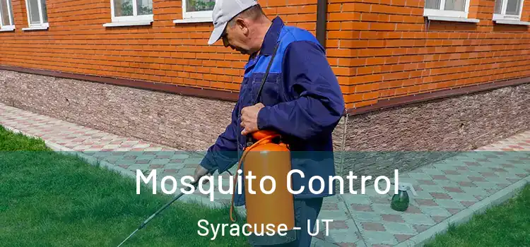 Mosquito Control Syracuse - UT