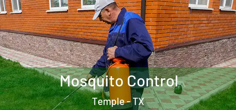  Mosquito Control Temple - TX