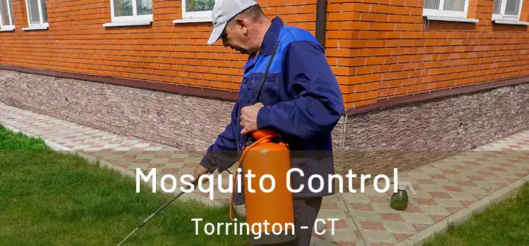  Mosquito Control Torrington - CT