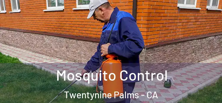  Mosquito Control Twentynine Palms - CA