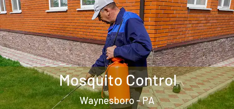  Mosquito Control Waynesboro - PA