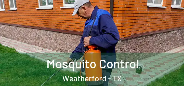  Mosquito Control Weatherford - TX