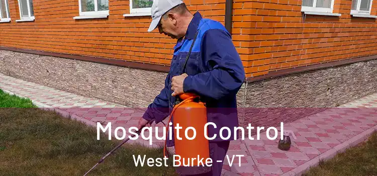  Mosquito Control West Burke - VT