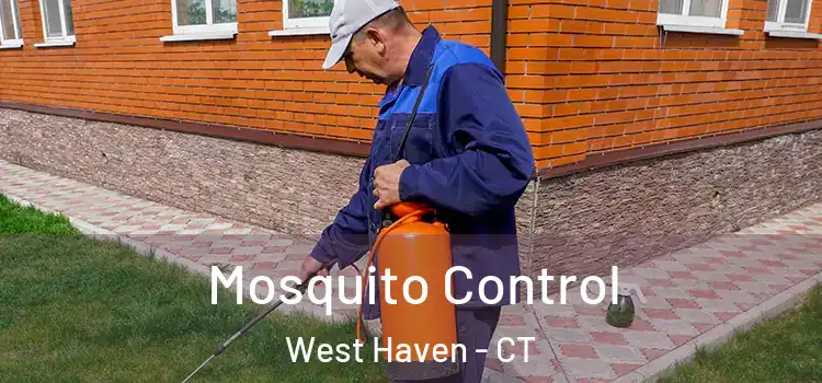  Mosquito Control West Haven - CT
