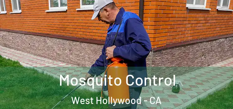  Mosquito Control West Hollywood - CA