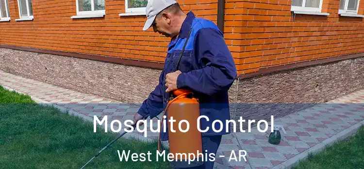 Mosquito Control West Memphis - AR