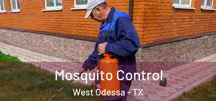  Mosquito Control West Odessa - TX