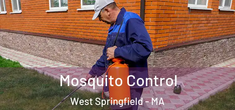  Mosquito Control West Springfield - MA