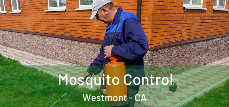  Mosquito Control Westmont - CA