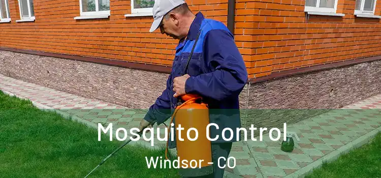  Mosquito Control Windsor - CO