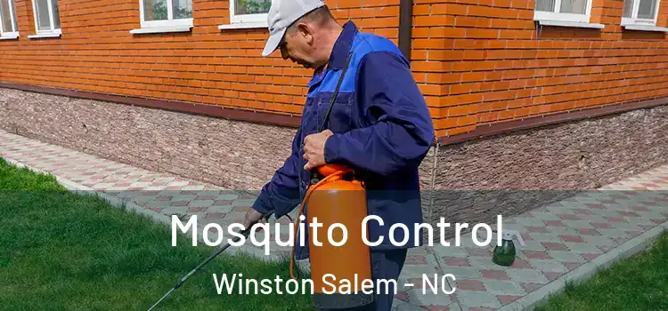 Mosquito Control Winston Salem - NC