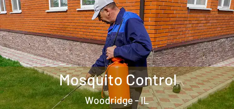  Mosquito Control Woodridge - IL