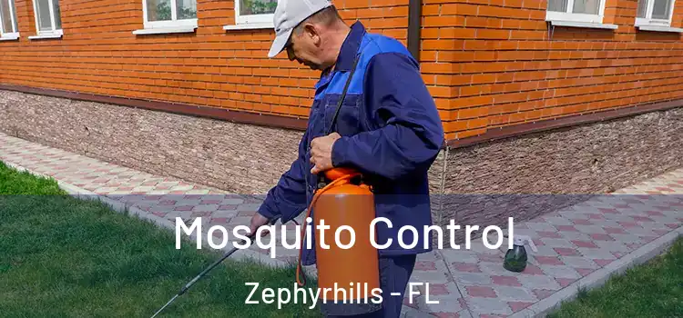  Mosquito Control Zephyrhills - FL