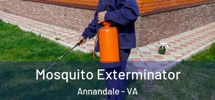 Mosquito Exterminator Annandale - VA