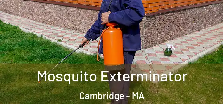  Mosquito Exterminator Cambridge - MA