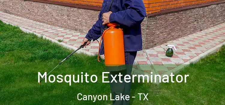 Mosquito Exterminator Canyon Lake - TX