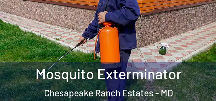Mosquito Exterminator Chesapeake Ranch Estates - MD