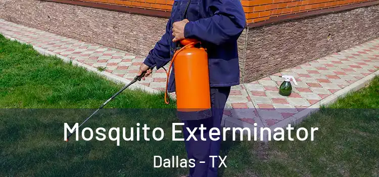 Mosquito Exterminator Dallas - TX