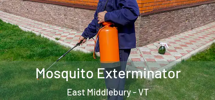  Mosquito Exterminator East Middlebury - VT