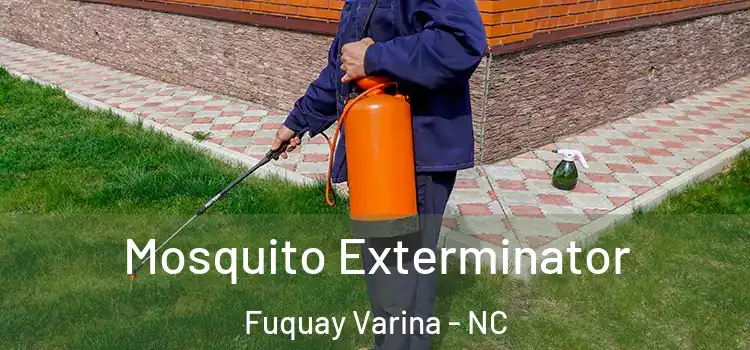 Mosquito Exterminator Fuquay Varina - NC