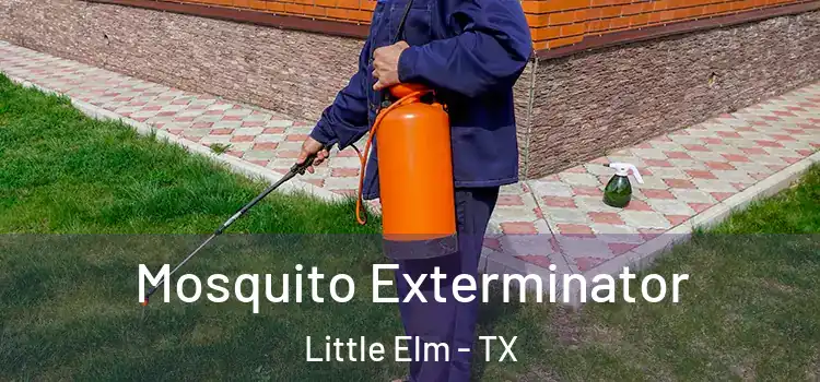 Mosquito Exterminator Little Elm - TX