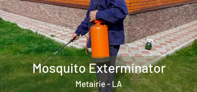 Mosquito Exterminator Metairie - LA