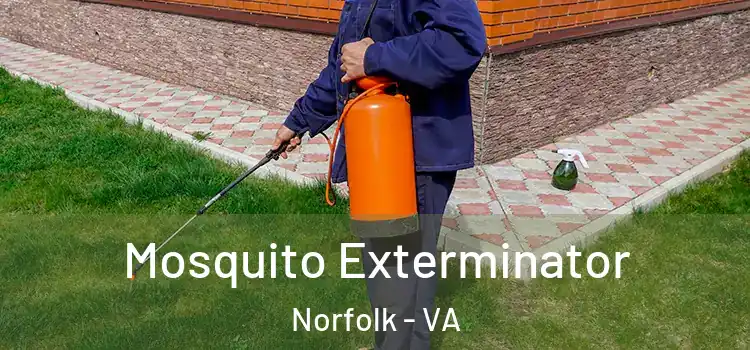  Mosquito Exterminator Norfolk - VA
