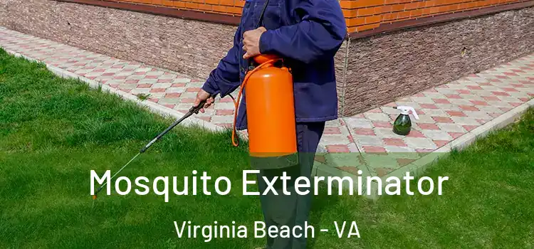 Mosquito Exterminator Virginia Beach - VA