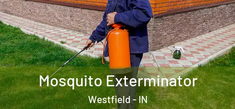  Mosquito Exterminator Westfield - IN