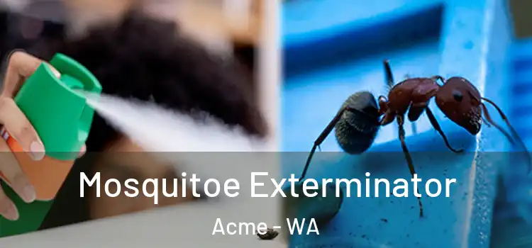  Mosquitoe Exterminator Acme - WA