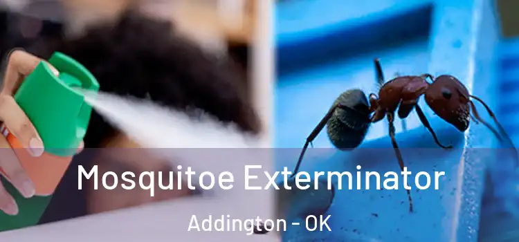  Mosquitoe Exterminator Addington - OK