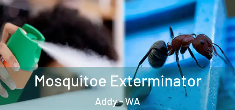 Mosquitoe Exterminator Addy - WA