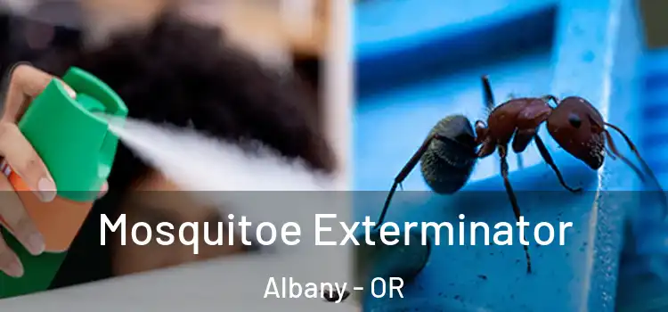  Mosquitoe Exterminator Albany - OR