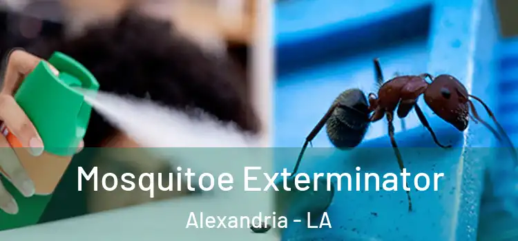 Mosquitoe Exterminator Alexandria - LA