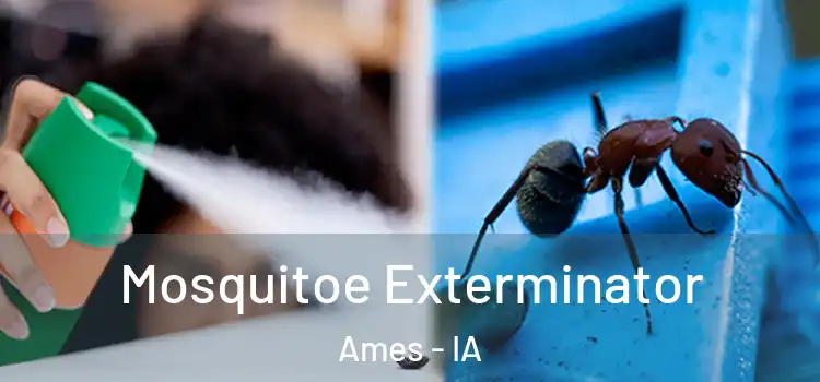Mosquitoe Exterminator Ames - IA