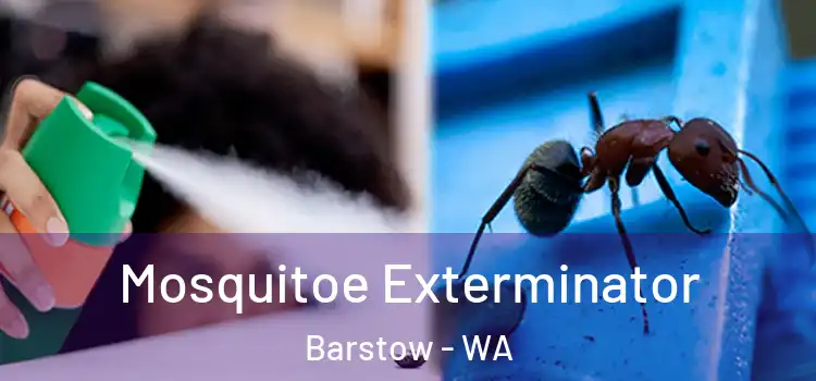 Mosquitoe Exterminator Barstow - WA