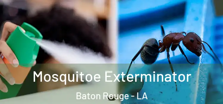 Mosquitoe Exterminator Baton Rouge - LA