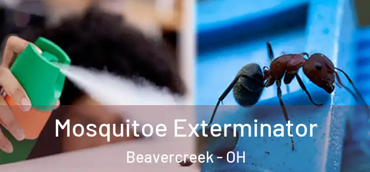Mosquitoe Exterminator Beavercreek - OH