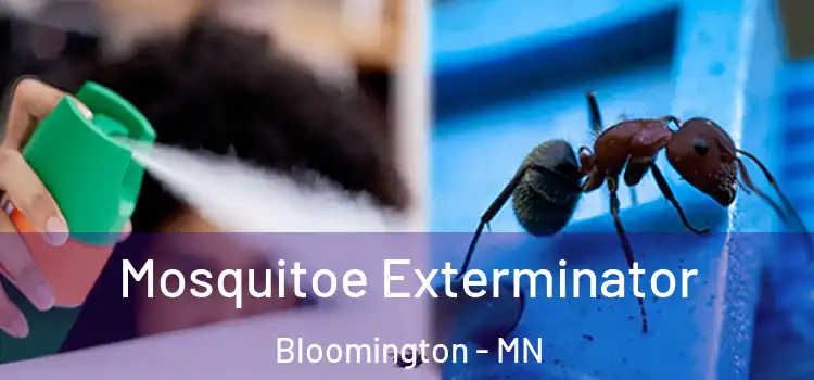 Mosquitoe Exterminator Bloomington - MN